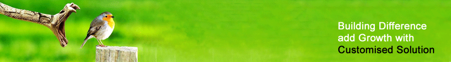 webdevelopment